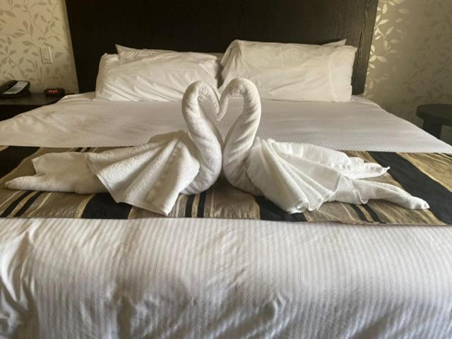 Stars Inn Leduc Bagian luar foto